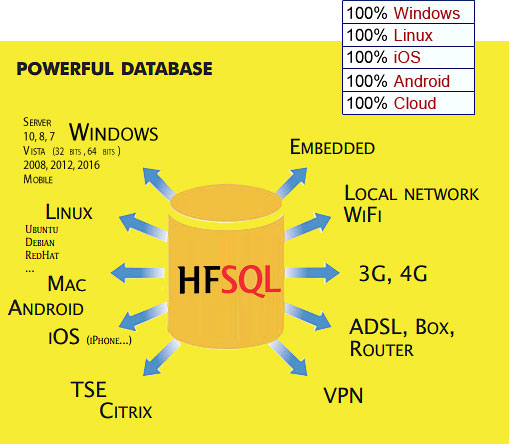 HFSQL Powerful database
